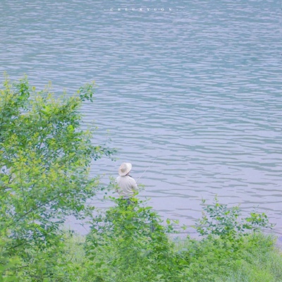邵阳福瑞交流群